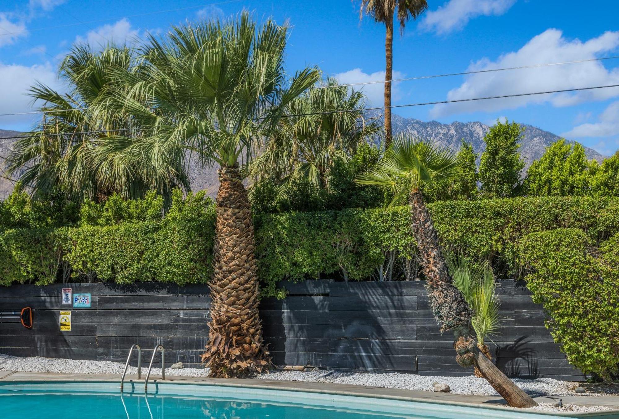 Former Steve Mcqueen'S Home Palm Springs Zewnętrze zdjęcie
